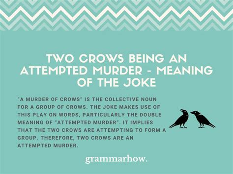 Two Crows Being an Attempted Murder - Meaning of the Joke - TrendRadars