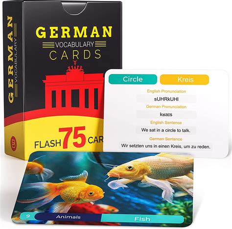 Amazon.com: German Vocabulary Flash Cards - 75 Beginner Vocab with Pictures - Memory & Sight ...