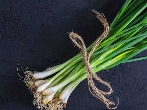 What Is a Scallion? - Recipes.net