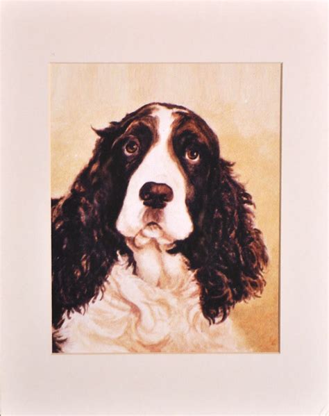 English Springer Spaniel Portrait Art Springer Spaniel | Etsy