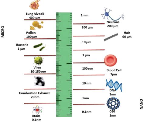 Nanotechnology; Smaller than a cell, but making massive changes | by ...