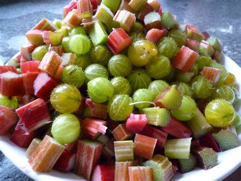 Rhubarb and Gooseberry Jam