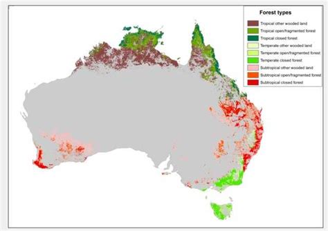 Forests of Australia - Wikiwand