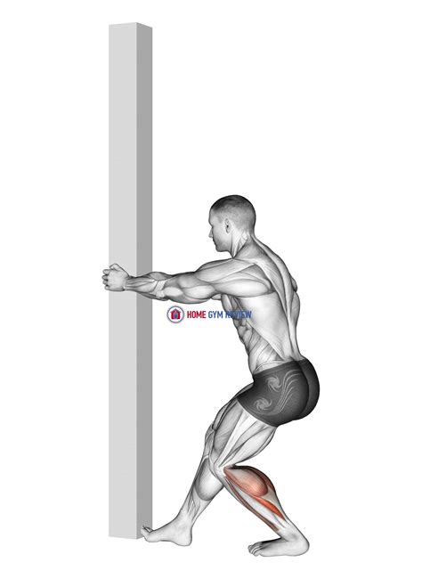 Tibial Stretch With Semi Flexed Knee - Home Gym Review