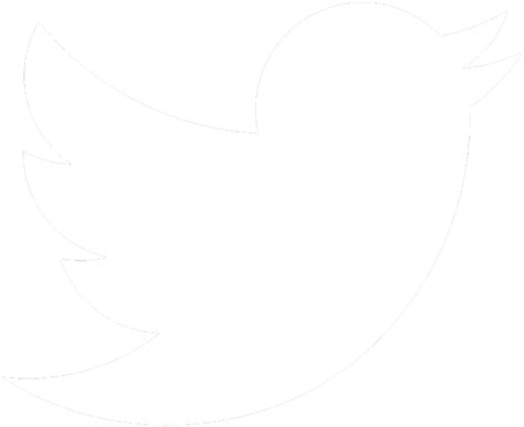 White Twitter Logo Transparent Transparent Background Twitter Logo | Images and Photos finder