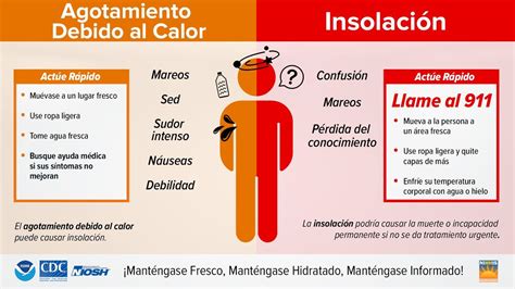 Sobrevivir al calor extremo: síntomas y respuestas apropiadas