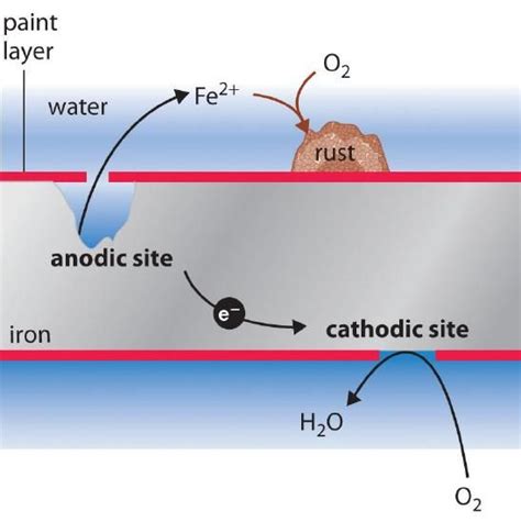 20.6: Corrosion: Unwanted Voltaic Cells - Chemistry LibreTexts | Electrochemistry, Chemistry ...