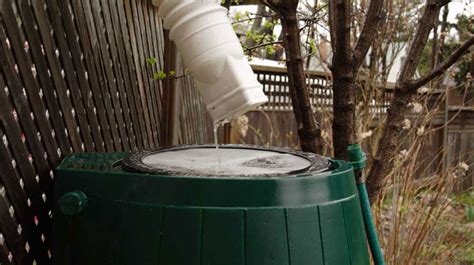 A Guide to Rainwater Catchment Systems