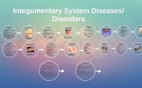 Integumentary System Diseases/Disorders by on Prezi