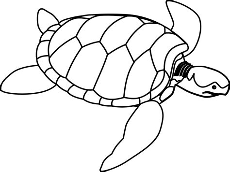 coloring book turtle | Turtle Line Art Green Sea Turtle Black White Line Art Coloring Book ...