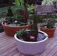 Container Water Gardens
