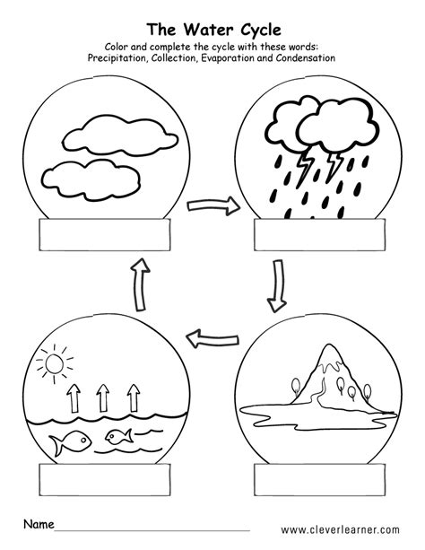 Printable Water Cycle Worksheets