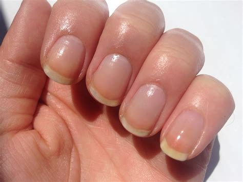 Blondie's Nails: Cuticle Oil & Nail Growth