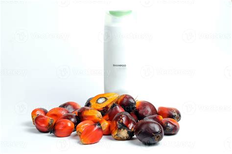 Oil Palm Fruit 24545151 Stock Photo at Vecteezy