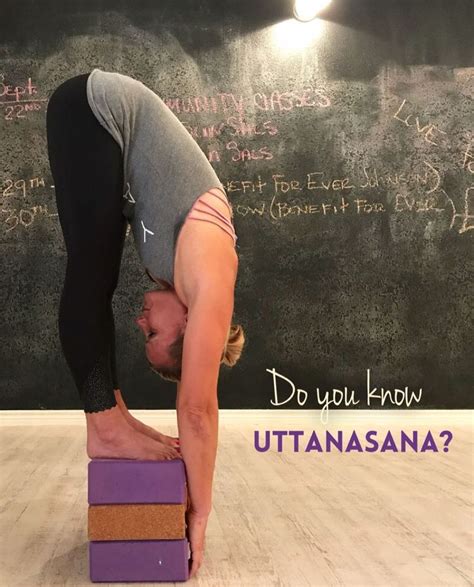 Do you know Uttanasana? In Sanskrit, “ut” means intense, “tan” means to ...