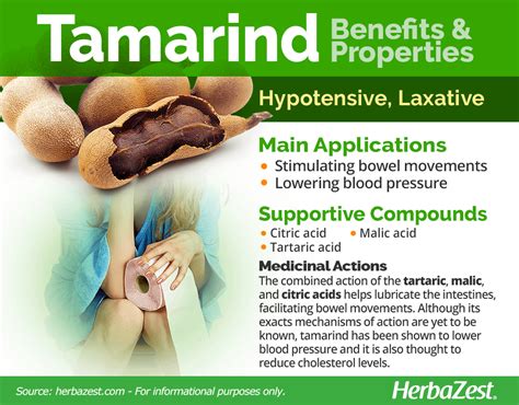 Tamarind | HerbaZest