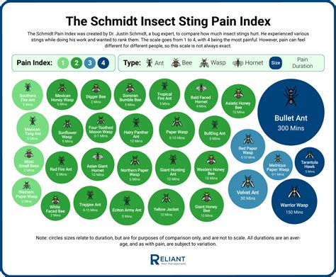 The Schmidt Insect Sting Pain Index: North America - Reliant Pest ...