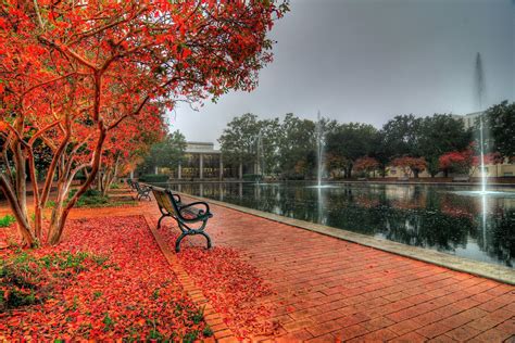 University Of South Carolina Wallpapers - Wallpaper Cave