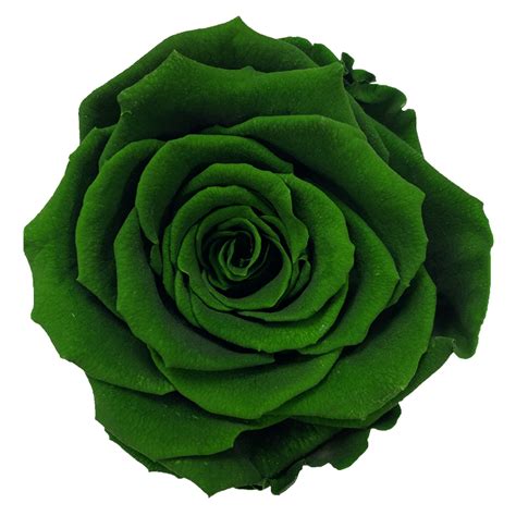 Emerald Green And Rose Gold Background High Resolution - IMAGESEE