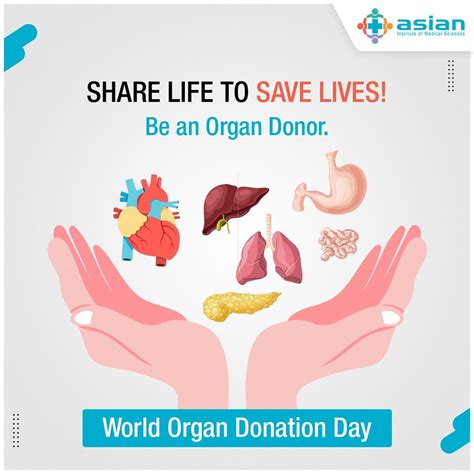 Organ Donation Poster, Organ Donation Quotes, Zebra Art, Organ Donor, Medical Science, Save Life ...