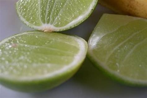 Mint Limeade Recipe on Food52