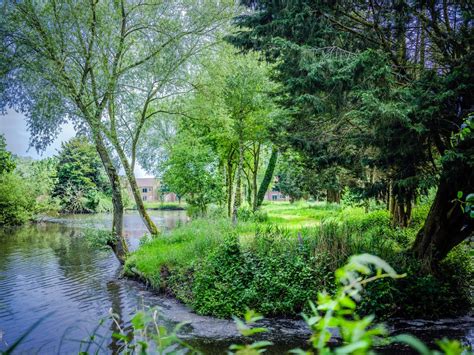 Ladybird in Huntworth, Somerset | Cottages & Lodges