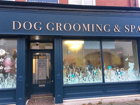 Pin by Hannah Mason on Dog Grooming | Dog grooming salon decor, Dog grooming salons, Dog salon