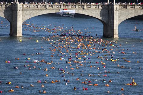 Official Basel river swim attracts thousands - SWI swissinfo.ch