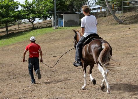 riding paso fino – Jennifer Murch