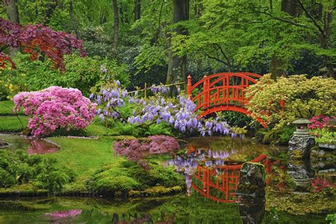 Le Jardin Japonais - Jardinerie Toulousaine