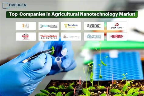 Agricultural Nanotechnology Market Top Companies | Agricultural ...