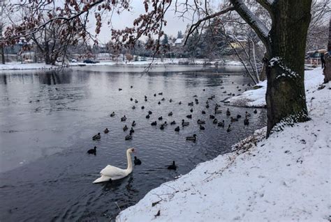 Winter in Prague: The Most Magical Season | TravelGeekery