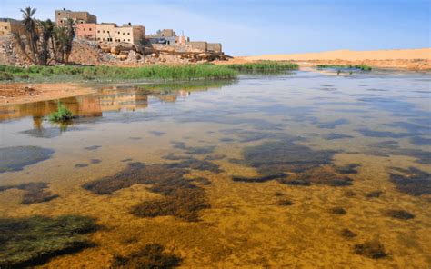 Destination Guide to Visiting Laayoune in Morocco - MarocMama