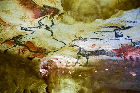 Why The New Stone Age Cave Paintings in France Are a Must-See - Travel ...