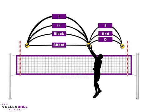 Volleyball Setter Hand Signals