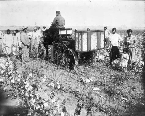 Mr. B. Johnson stands beside his invention, a mechanical cotton picker, Wharton County, 1917 ...