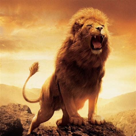 Like A Roaring Lion – From Crimson To Snow