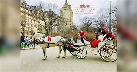 NYC Horse Carriage Rides | Central Park Carriage Tours