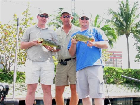 A really fantastic time Peacock bass fishing - Peacock Bass Fishing in ...