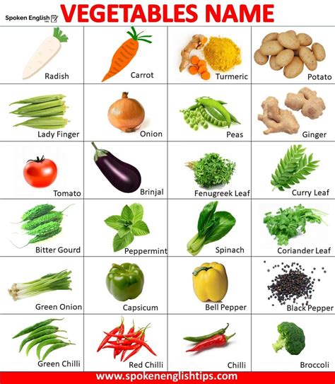 Scientific Name For Vegetables Offers Cheap, Save 65% | jlcatj.gob.mx