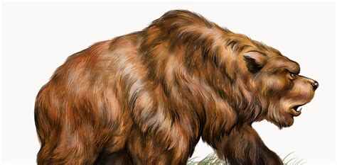 We sequenced the cave bear genome using a 360,000-year-old ear bone and had to rewrite their ...