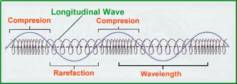 Longitudinal Wave - Definition, Examples, Formula, Diagram | Longitudinal wave, Angular ...