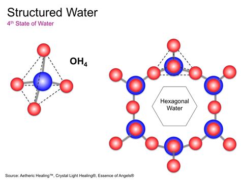 The Structure Of Water