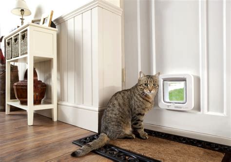 Find Out The Best Cat Doors