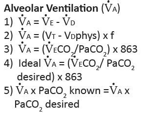 Alveolar Ventilation (VA) | Member Login | Oakes Academy