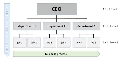 Organizational Chart: Definition, Examples & Templates - Venngage