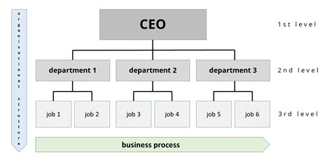 Organizational Chart: Types, Purpose & 20 Real-Life Examples