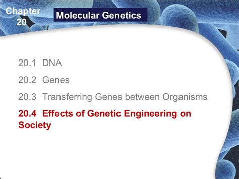 Molecular genetics 2014