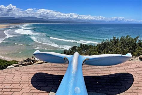 14 Top-Rated Things to Do in Plettenberg Bay, South Africa | PlanetWare