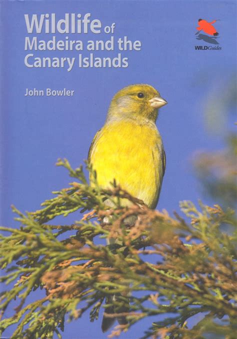 Wildlife of Madeira and the Canary Islands – A Photographic Field Guide to Birds, Mammals ...